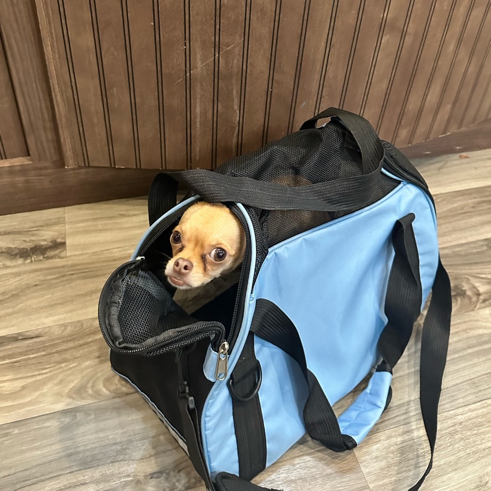 Blue and Black Pet Carrier Backpack